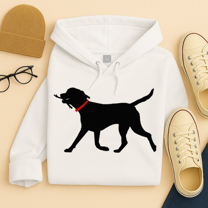 Labrador Retriever Play Fetch Black Lab Hoodie