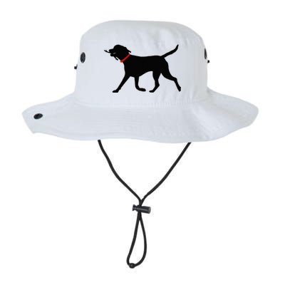 Labrador Retriever Play Fetch Black Lab Bucket Hat