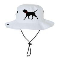 Labrador Retriever Play Fetch Black Lab Bucket Hat