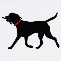Labrador Retriever Play Fetch Black Lab Bucket Hat