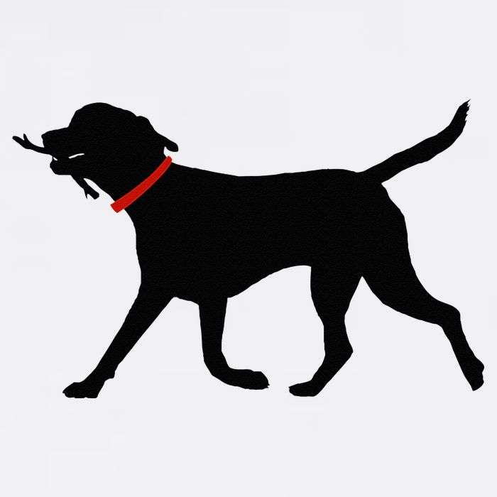 Labrador Retriever Play Fetch Black Lab Bucket Hat