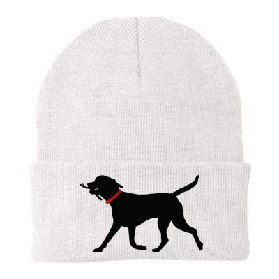 Labrador Retriever Play Fetch Black Lab Beanie