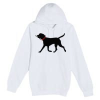 Labrador Retriever Play Fetch Black Lab Premium Pullover Hoodie