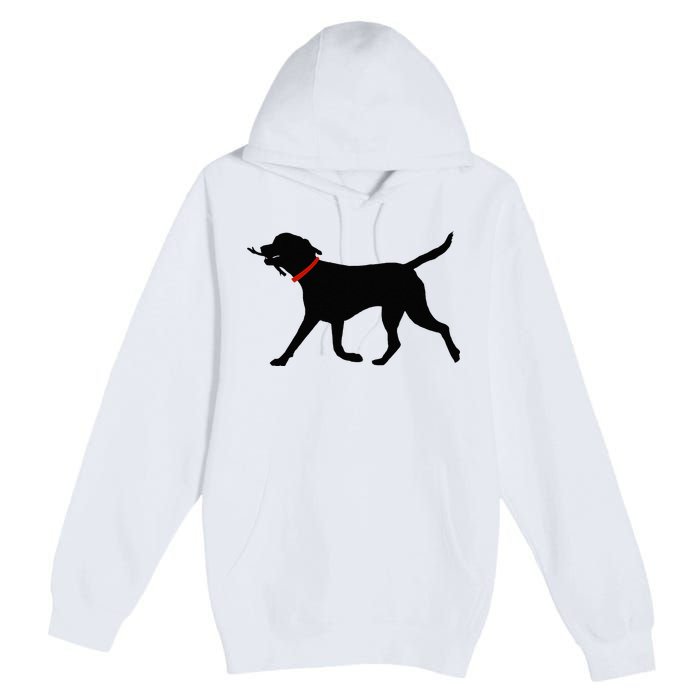 Labrador Retriever Play Fetch Black Lab Premium Pullover Hoodie