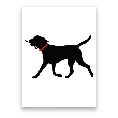 Labrador Retriever Play Fetch Black Lab Poster