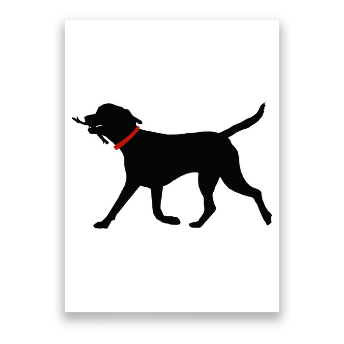 Labrador Retriever Play Fetch Black Lab Poster