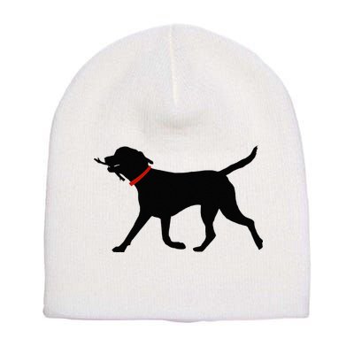 Labrador Retriever Play Fetch Black Lab Short Acrylic Beanie