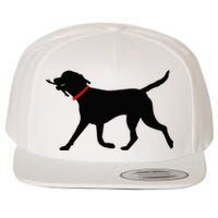 Labrador Retriever Play Fetch Black Lab Wool Snapback Cap