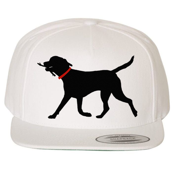 Labrador Retriever Play Fetch Black Lab Wool Snapback Cap