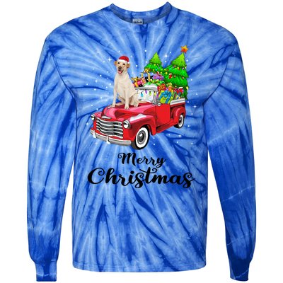 Labrador Retriever Ride Red Truck Christmas Pajama Gift Tie-Dye Long Sleeve Shirt