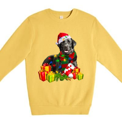 Labrador Retriever Reindeer Xmas Light Christmas Santa Hat Gift Premium Crewneck Sweatshirt