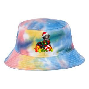 Labrador Retriever Reindeer Xmas Light Christmas Santa Hat Gift Tie Dye Newport Bucket Hat