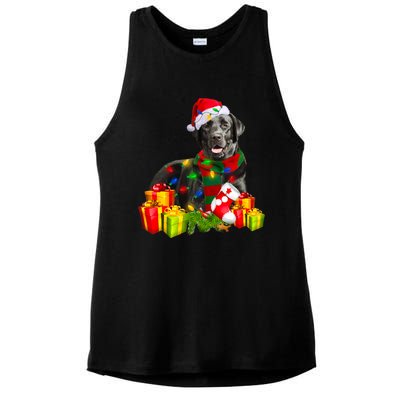 Labrador Retriever Reindeer Xmas Light Christmas Santa Hat Gift Ladies PosiCharge Tri-Blend Wicking Tank