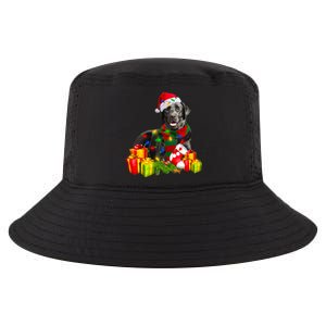 Labrador Retriever Reindeer Xmas Light Christmas Santa Hat Gift Cool Comfort Performance Bucket Hat