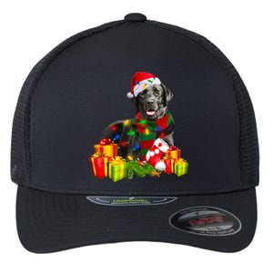 Labrador Retriever Reindeer Xmas Light Christmas Santa Hat Gift Flexfit Unipanel Trucker Cap