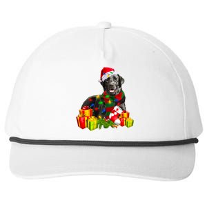 Labrador Retriever Reindeer Xmas Light Christmas Santa Hat Gift Snapback Five-Panel Rope Hat