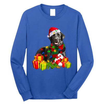 Labrador Retriever Reindeer Xmas Light Christmas Santa Hat Gift Long Sleeve Shirt