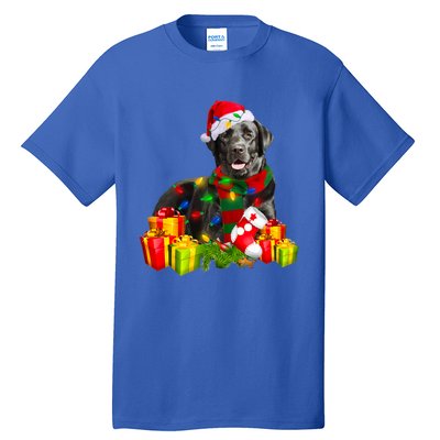 Labrador Retriever Reindeer Xmas Light Christmas Santa Hat Gift Tall T-Shirt