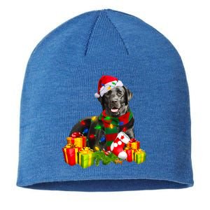 Labrador Retriever Reindeer Xmas Light Christmas Santa Hat Gift Sustainable Beanie