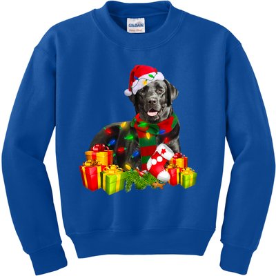 Labrador Retriever Reindeer Xmas Light Christmas Santa Hat Gift Kids Sweatshirt