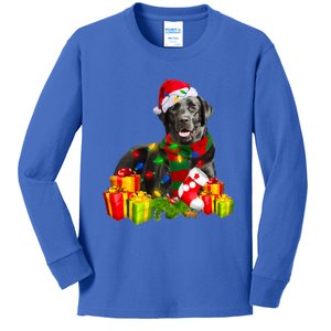 Labrador Retriever Reindeer Xmas Light Christmas Santa Hat Gift Kids Long Sleeve Shirt