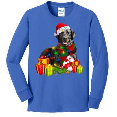 Labrador Retriever Reindeer Xmas Light Christmas Santa Hat Gift Kids Long Sleeve Shirt