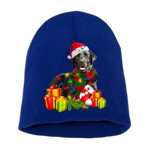 Labrador Retriever Reindeer Xmas Light Christmas Santa Hat Gift Short Acrylic Beanie