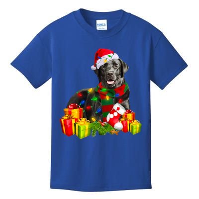 Labrador Retriever Reindeer Xmas Light Christmas Santa Hat Gift Kids T-Shirt