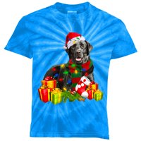 Labrador Retriever Reindeer Xmas Light Christmas Santa Hat Gift Kids Tie-Dye T-Shirt