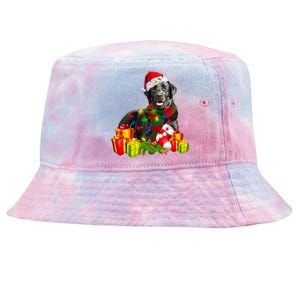 Labrador Retriever Reindeer Xmas Light Christmas Santa Hat Gift Tie-Dyed Bucket Hat