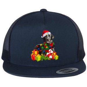 Labrador Retriever Reindeer Xmas Light Christmas Santa Hat Gift Flat Bill Trucker Hat