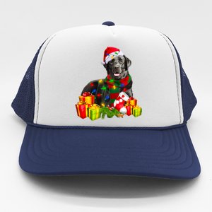 Labrador Retriever Reindeer Xmas Light Christmas Santa Hat Gift Trucker Hat