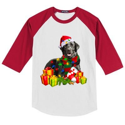 Labrador Retriever Reindeer Xmas Light Christmas Santa Hat Gift Kids Colorblock Raglan Jersey