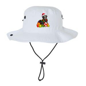 Labrador Retriever Reindeer Xmas Light Christmas Santa Hat Gift Legacy Cool Fit Booney Bucket Hat