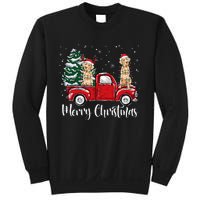 Labrador Retriever Riding Red Truck Merry Christmas Pajama Sweatshirt