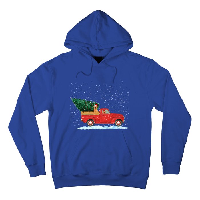 Labrador Retriever Vintage Red Pickup Truck Christmas Tree Funny Gift Hoodie