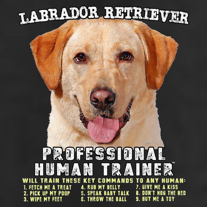 Labrador Retriever Yellow Lab Professional Human Trainer Cool Comfort Performance Bucket Hat