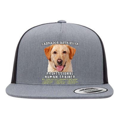 Labrador Retriever Yellow Lab Professional Human Trainer Flat Bill Trucker Hat