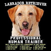Labrador Retriever Yellow Lab Professional Human Trainer Magnet