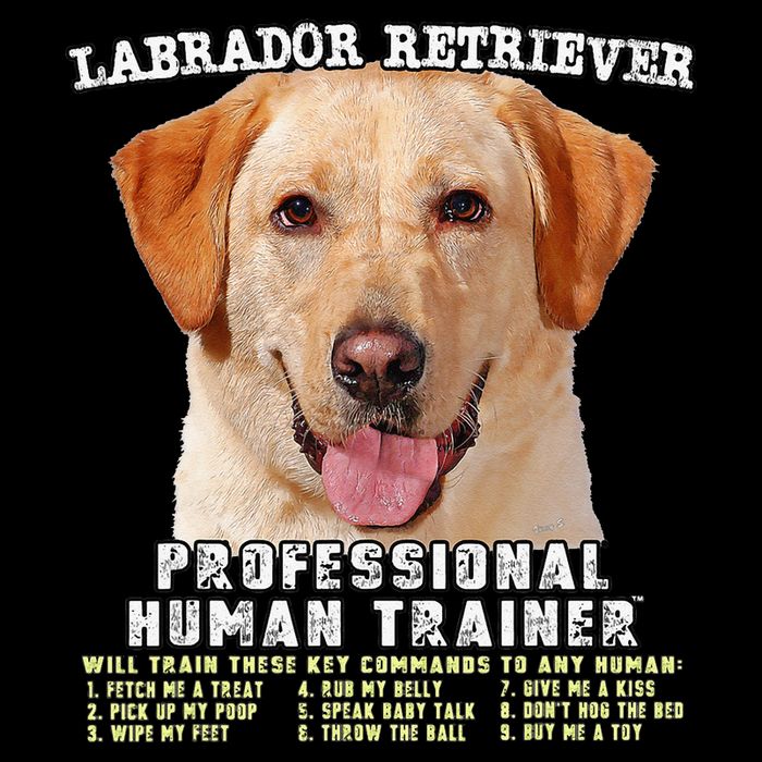 Labrador Retriever Yellow Lab Professional Human Trainer Magnet