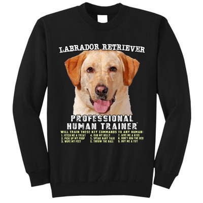 Labrador Retriever Yellow Lab Professional Human Trainer Tall Sweatshirt