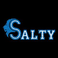 Lion Salty Cool Lion With Blue Eyes Artwork 16 in Basic Backpack