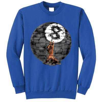 Limited Section8la Chained Pet Sweatshirt