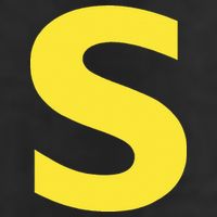 Letter S Funny Chipmunk Group Matching Halloween Golf Towel
