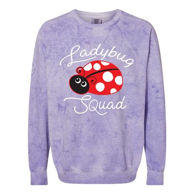 Ladybug Squad Funny Ladybug Gift Colorblast Crewneck Sweatshirt