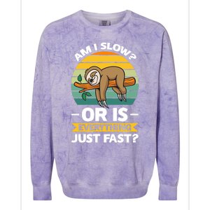 Lazy Sloth Hungry And Lazy Slowmotion Monday Introved Shy Colorblast Crewneck Sweatshirt