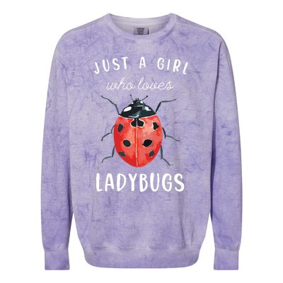 Ladybug Shirts, Ladybug Lover Shirts Colorblast Crewneck Sweatshirt