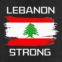 Lebanon Strong Lebanese Flag Souvenir Beirut Cedar Tree 7 Panel Mesh Trucker Snapback Hat