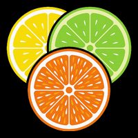 Lemon Slice Lime Orange Citrus Vegan Summer Fruit Drawstring Bag