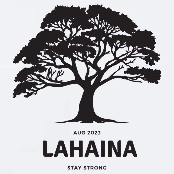 Lahaina Support Maui Strong Sueded Cloud Jersey T-Shirt